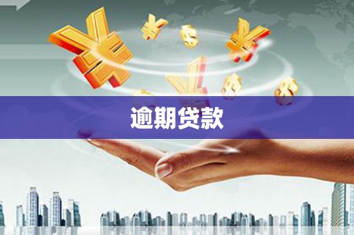 河曲逾期贷款